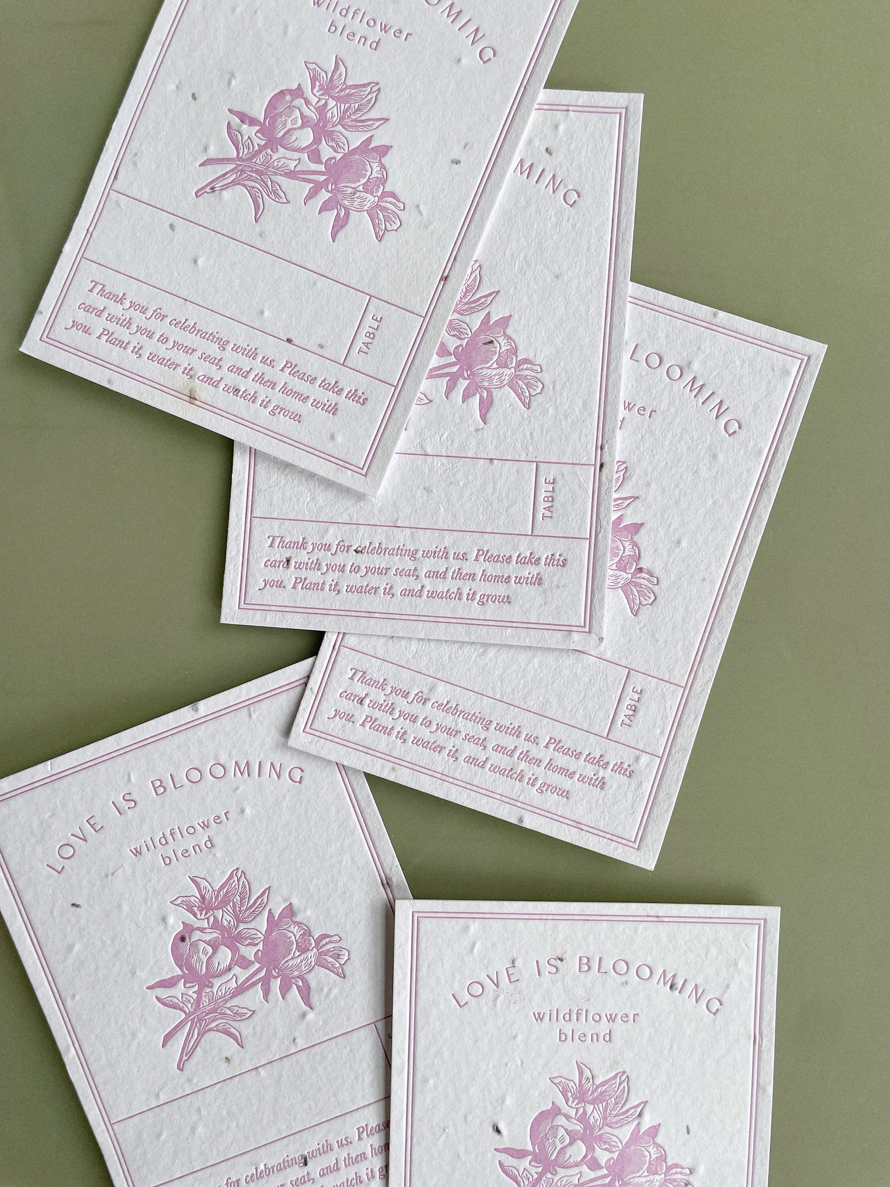 Limited Edition Pink Seed Paper Escort Cards